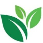 Whitefield Consultancy