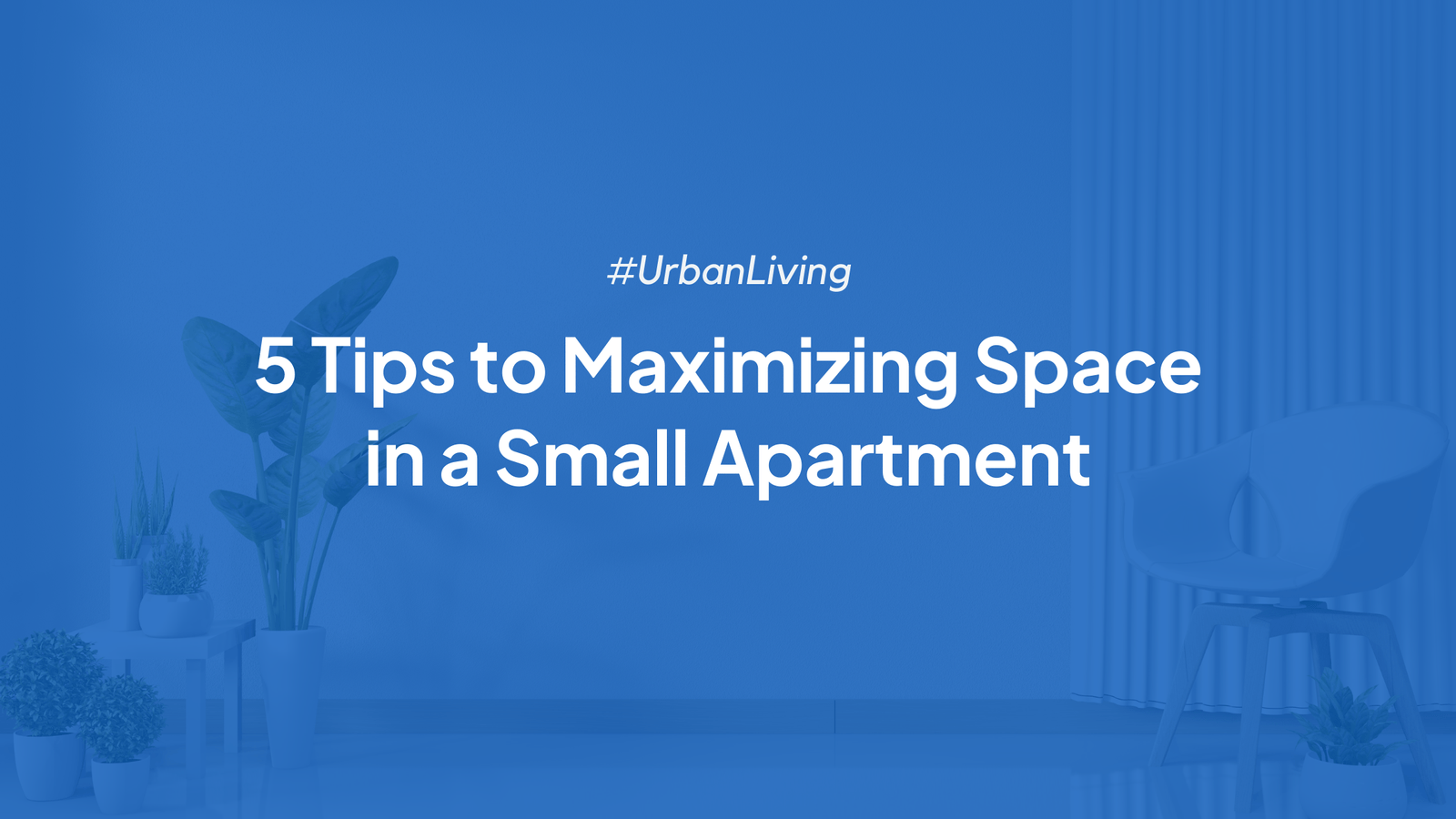 Maximizing Space in a Small Apartment